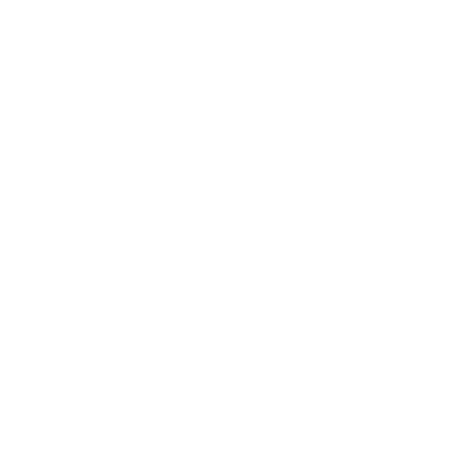 Structure Mind Inc Logo